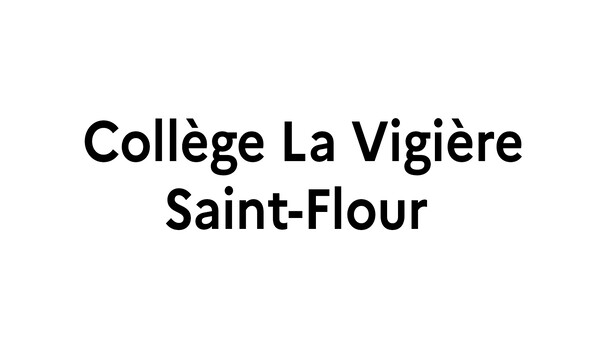 collège la vigière